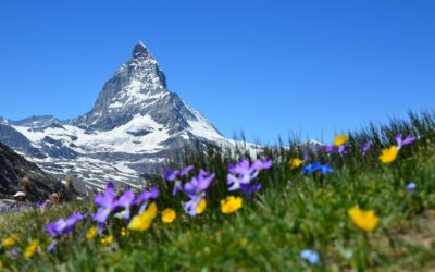 Co vidět ve Švýcarsku? 🇨🇭 5 tipů
